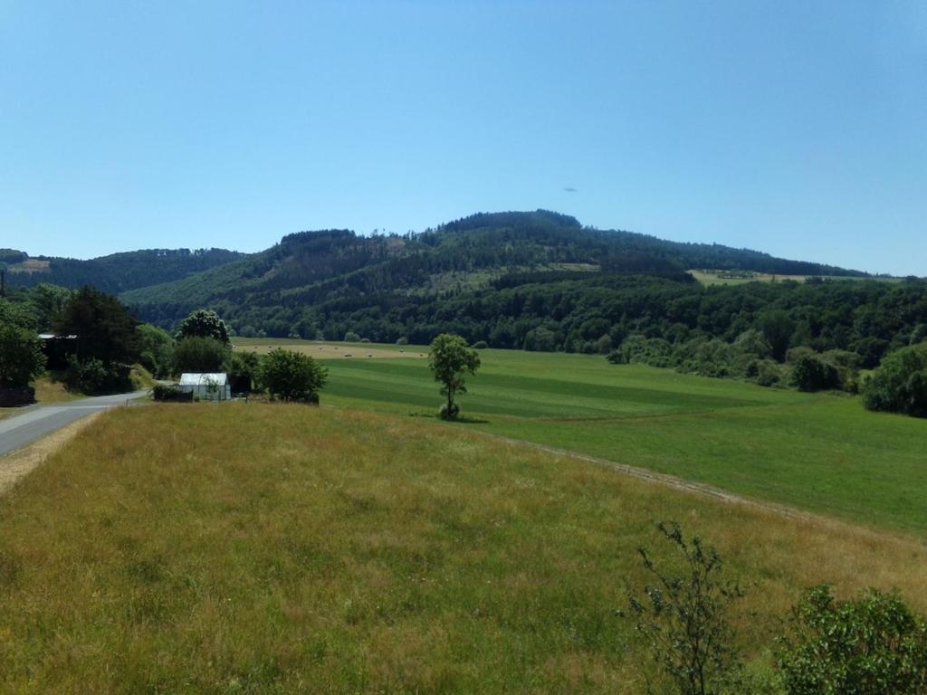 Ederauenblick Apartment Dodenau Luaran gambar